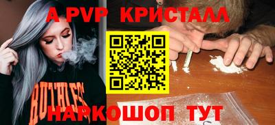 шишки Кингисепп