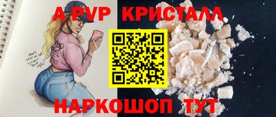 шишки Кингисепп