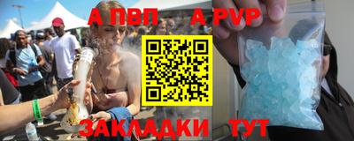 шишки Кингисепп