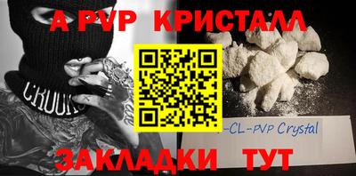 шишки Кингисепп