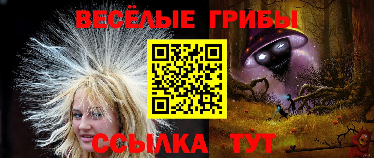 Псилоцибиновые грибы GOLDEN TEACHER Королёв